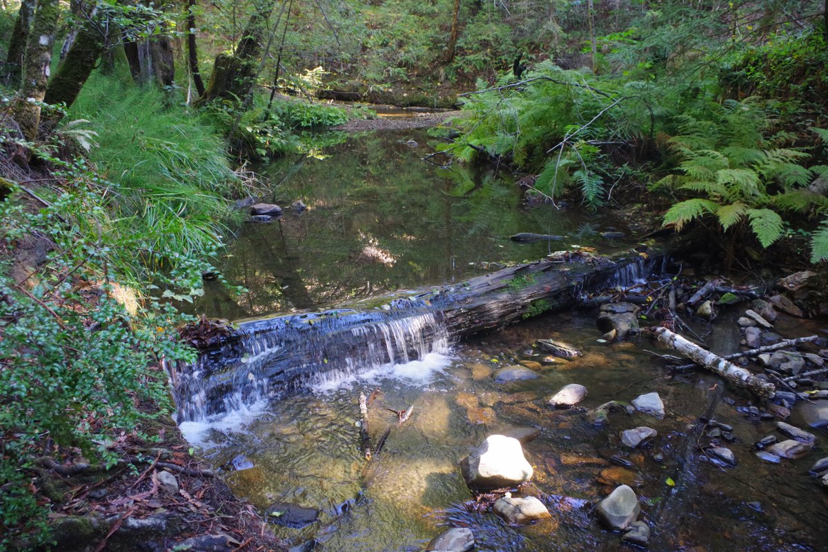 Kevin Rushton tweet media