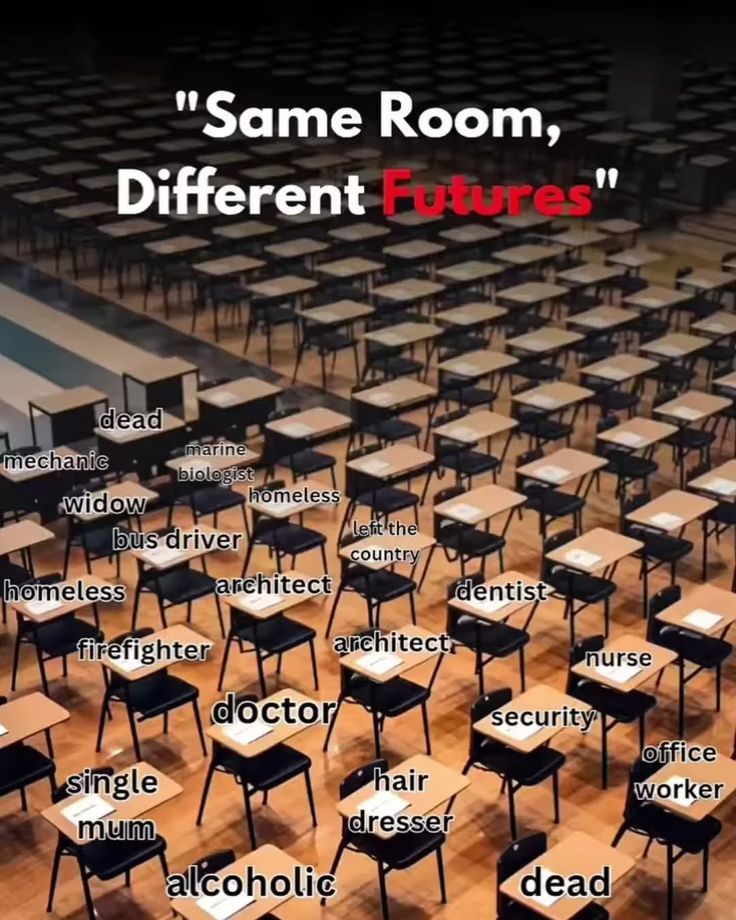 Mind Mentor tweet media