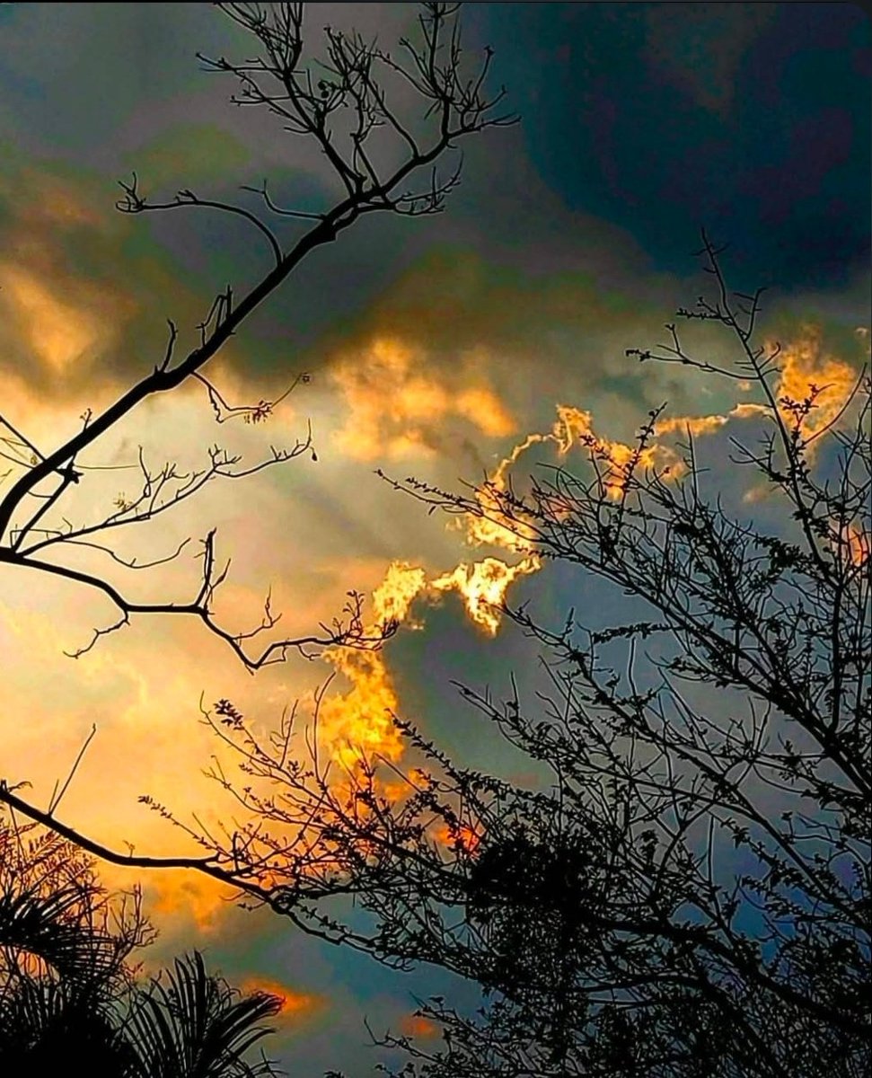 Neelu Khanna🇮🇳 tweet media