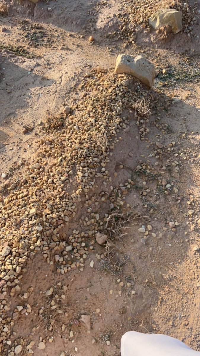 #InzaghiOut tweet media