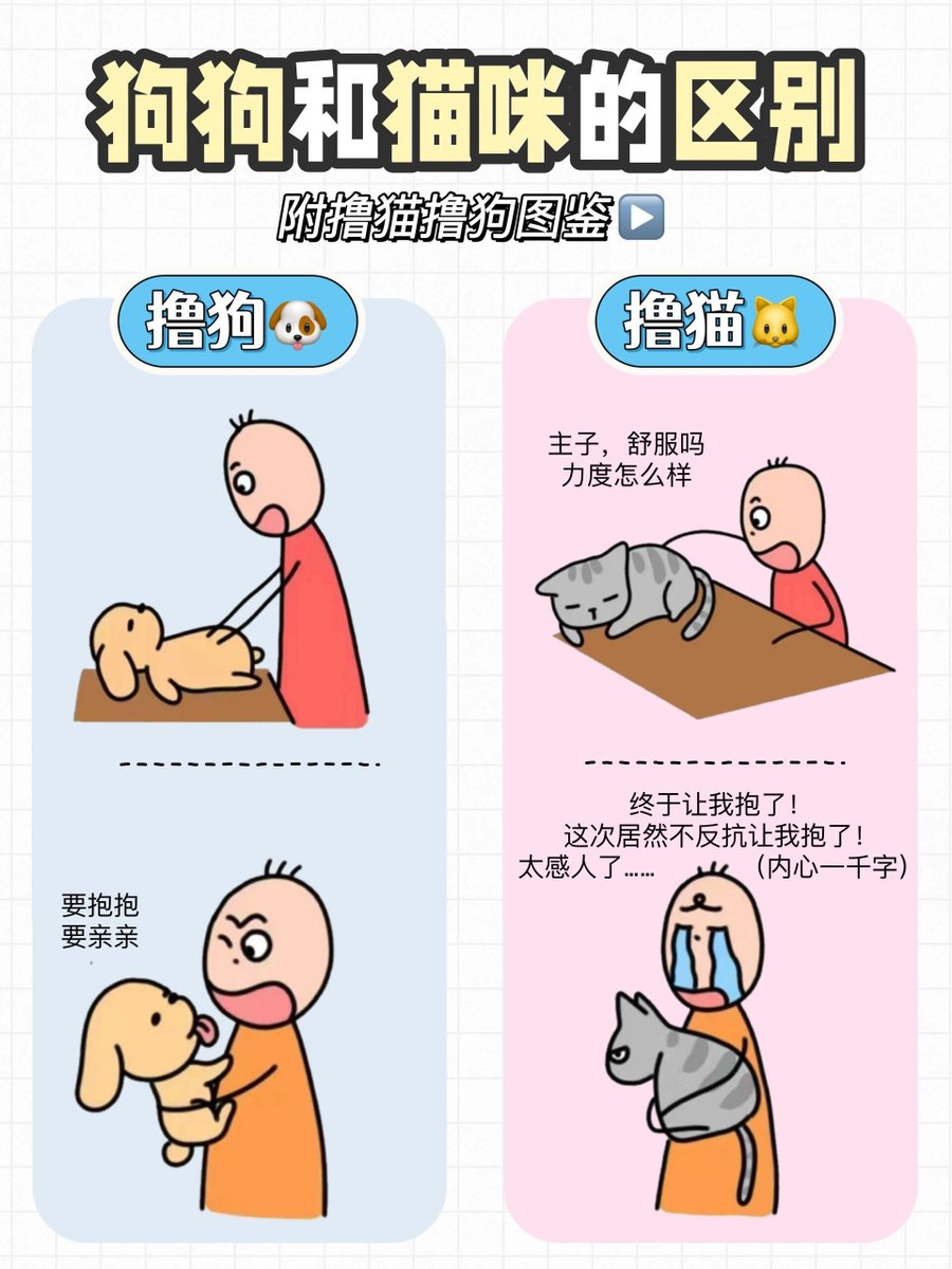 Shelby Z tweet media