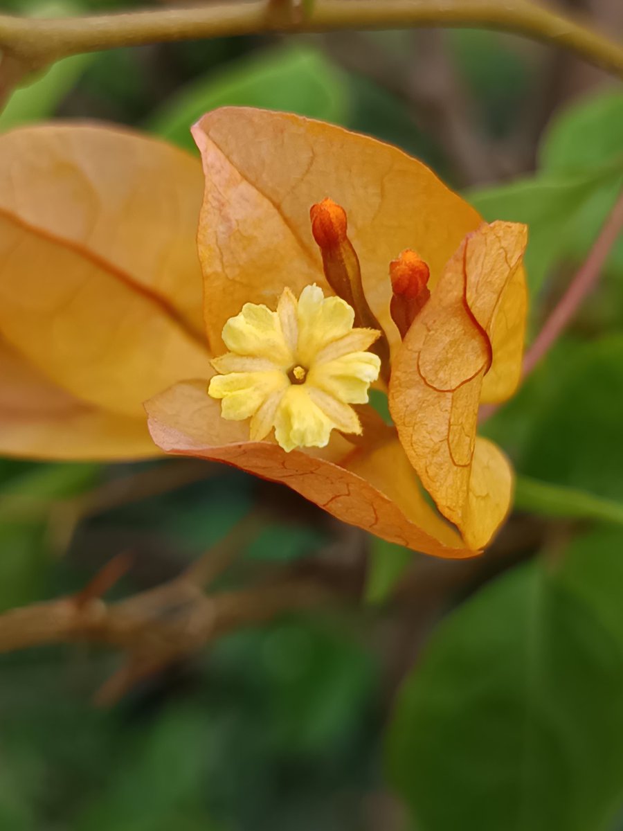 नीलेश रायचुरा tweet media