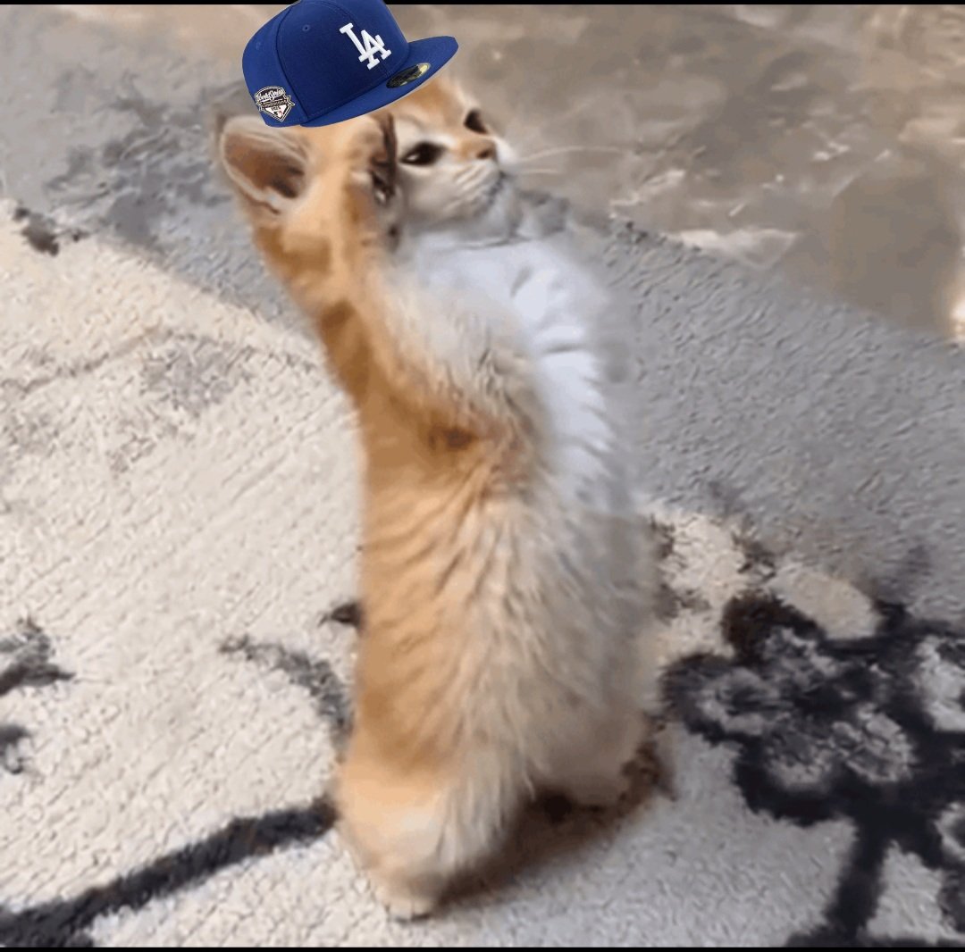 Marcel 1101 tweet media