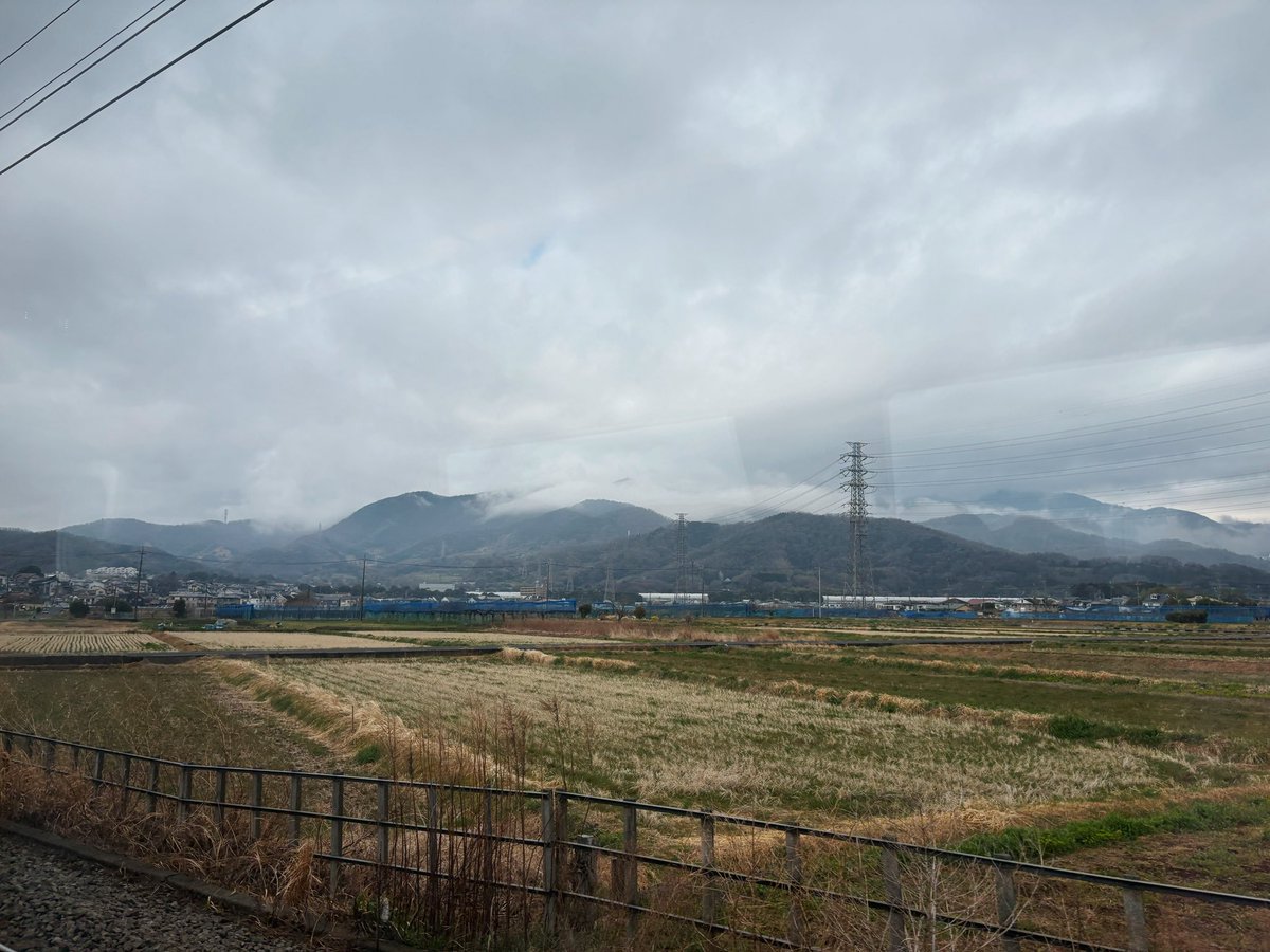 おりえ（2026販売中🐶🗓️） tweet media