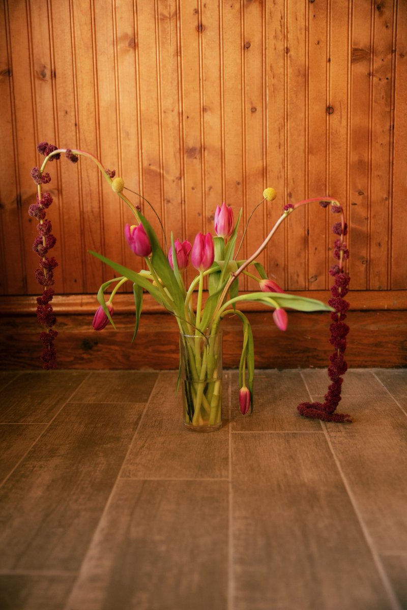 mediumcoolgirl's tweet photo. March tulips https://t.co/ruJjedH3Sk