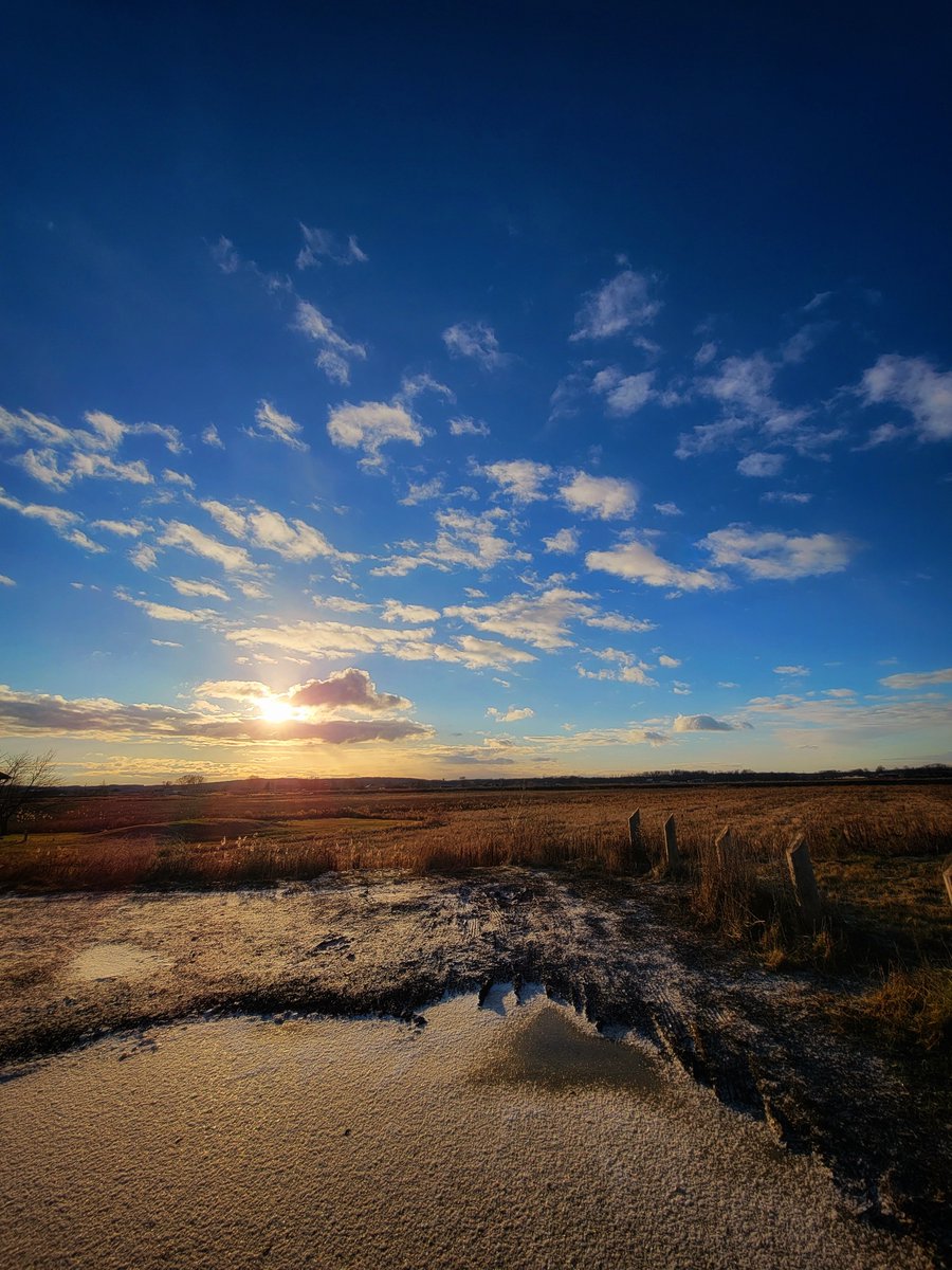 Darrell, not Daryl tweet media