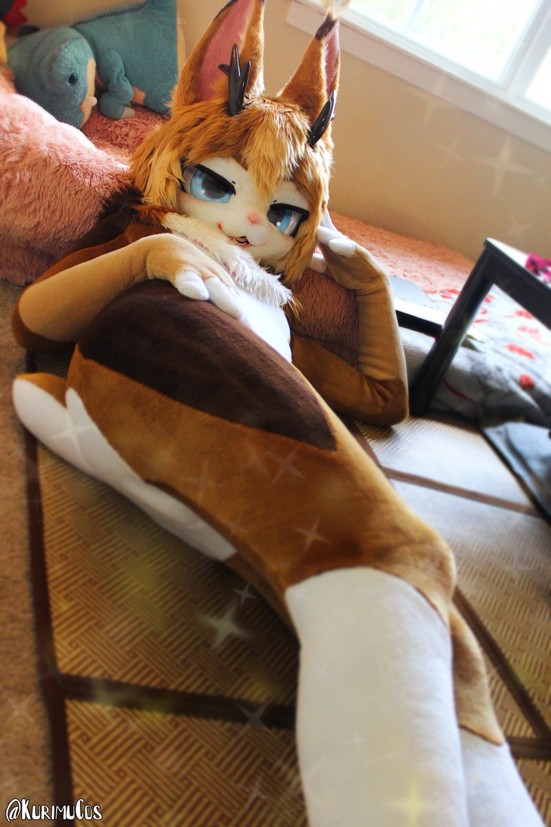 Kitten & Yuki tweet media