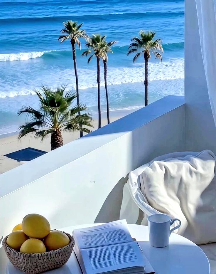 Abedin🌠 tweet media