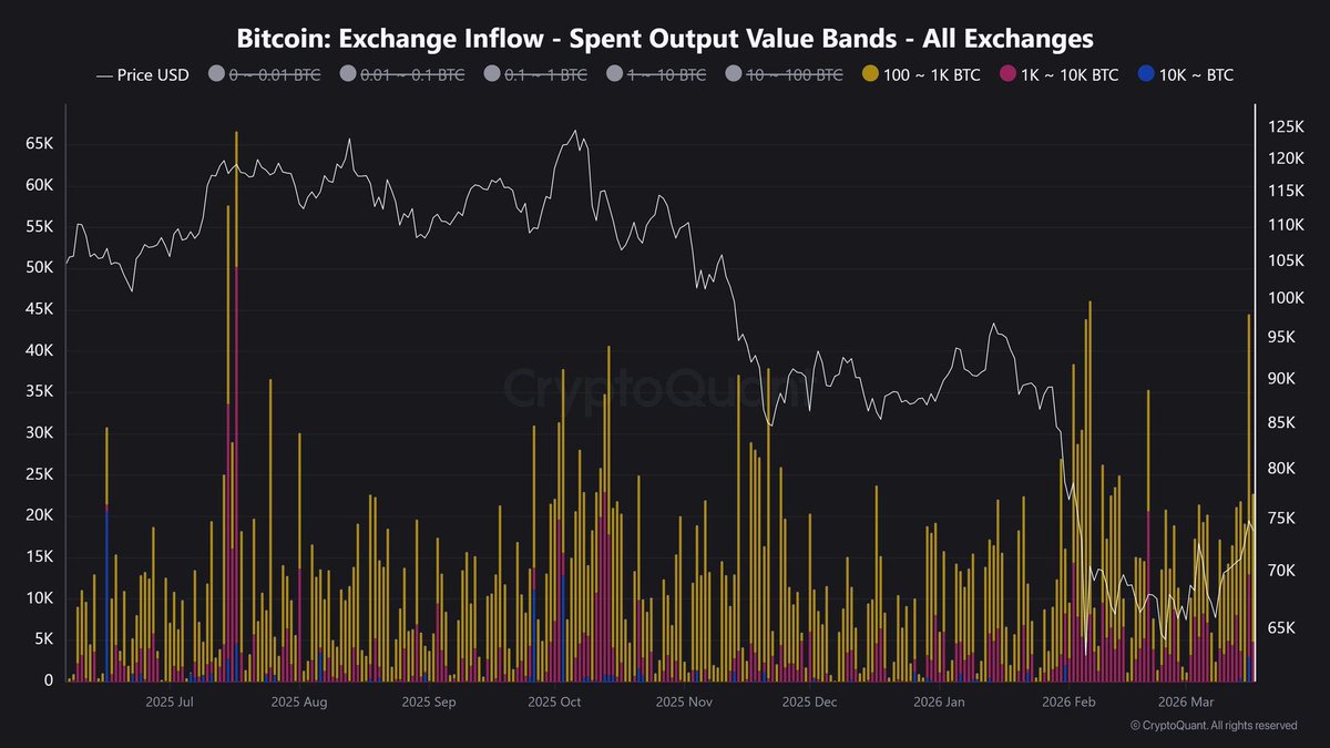 Tommy B. 🇺🇸 tweet media
