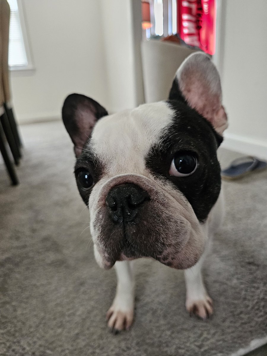 The Canes Stats Brand™ tweet media