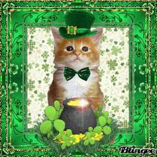 Kim Julia Kyle tweet media