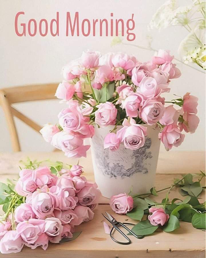 Susan Nelson tweet media