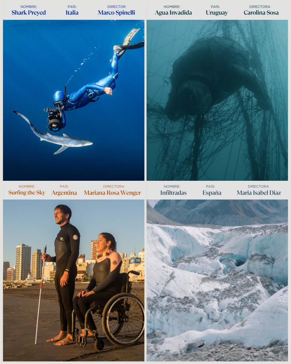 Festival Internacional de Cine del Mar tweet media