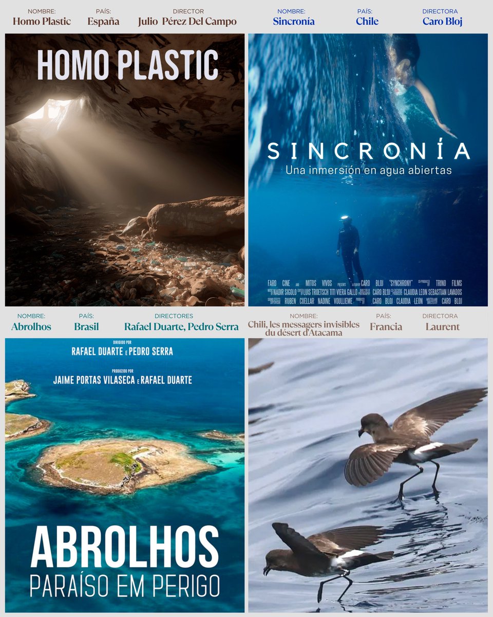 Festival Internacional de Cine del Mar tweet media