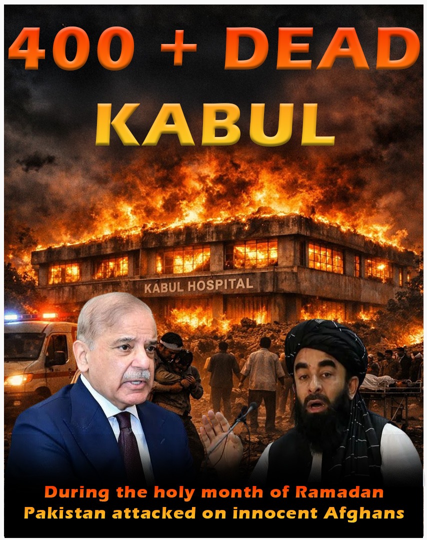 BANGUS VALLEY tweet media