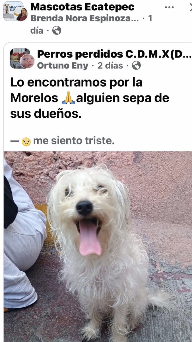 Dra Alejandra tweet media