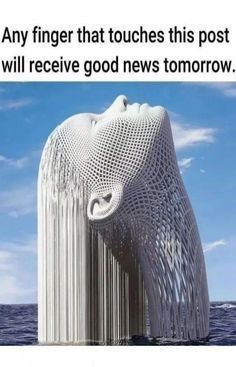 Law_of_attraction tweet media