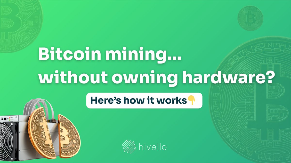 Hivello Official tweet media