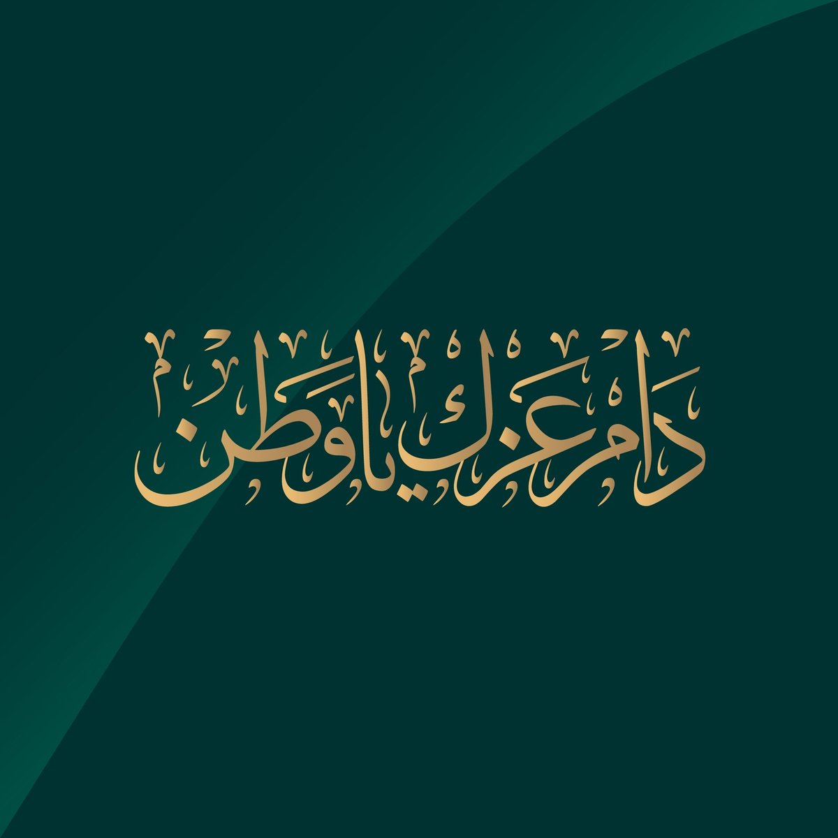 محمد الخليفي tweet media