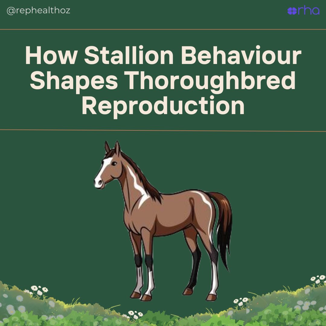 ReproductiveHealthAustralia tweet media