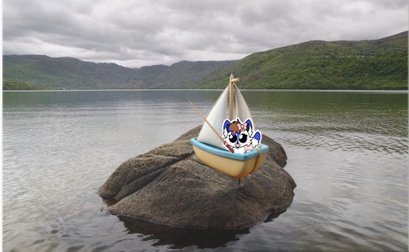 LittleWinter 🎀🇬🇧👑 tweet media