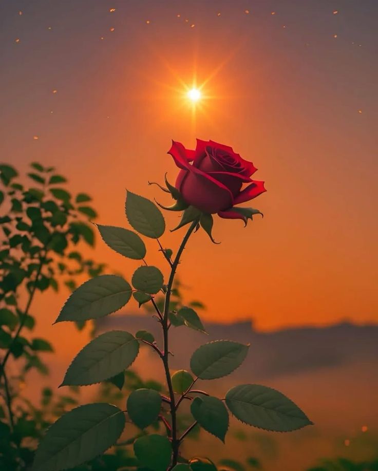 Zoni🦋 tweet media