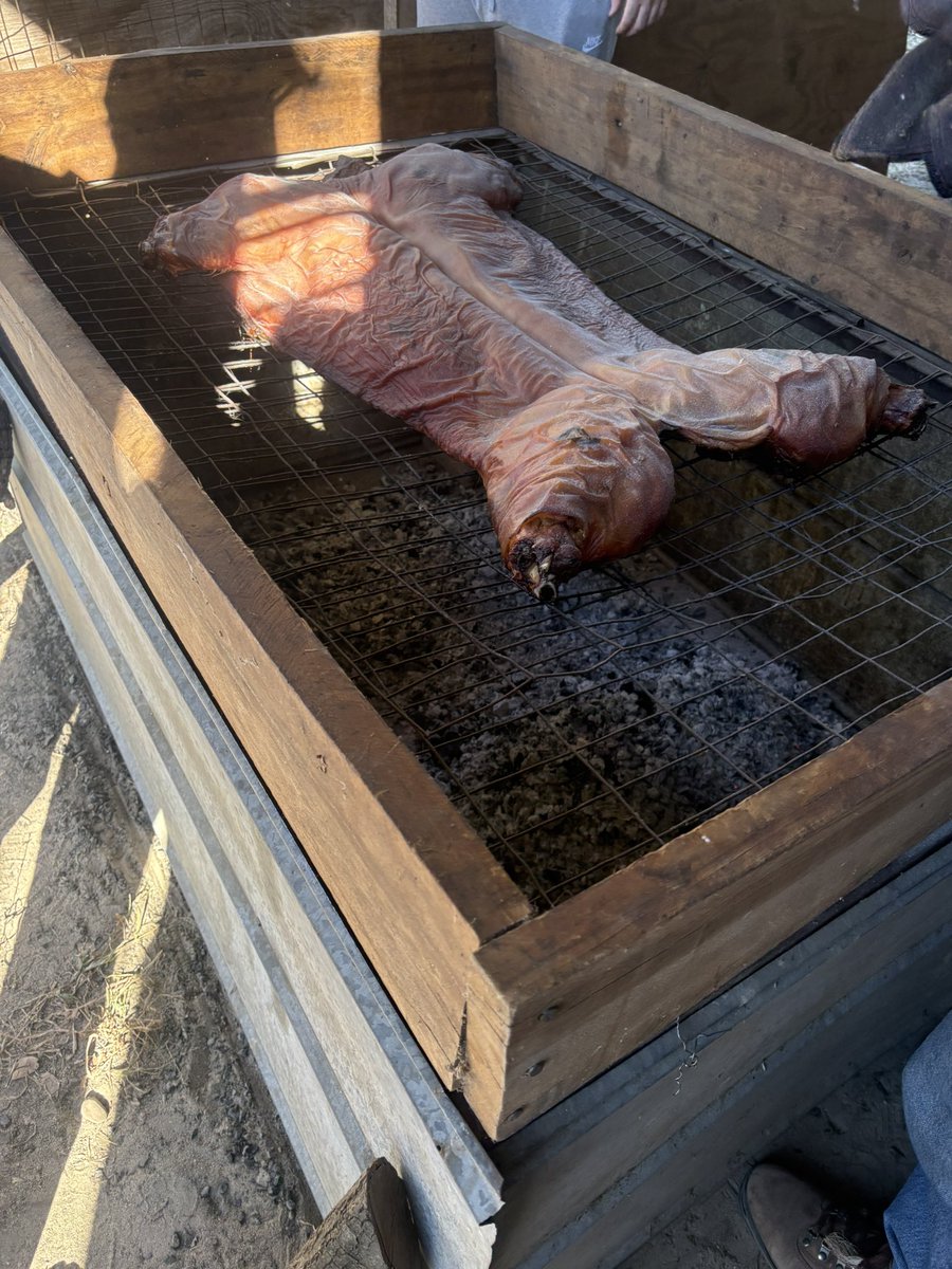 SC Coast tweet media