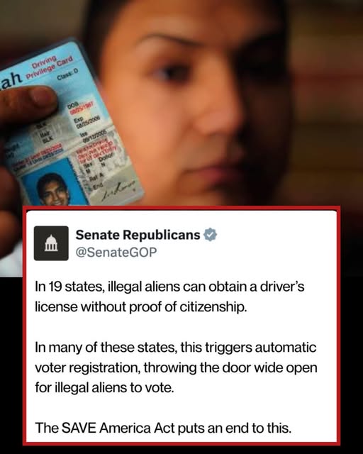 Commentary Donald J. Trump Posts From Truth Social tweet media