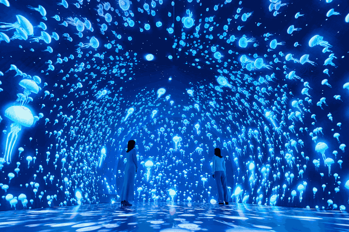 Trip.com JP tweet media