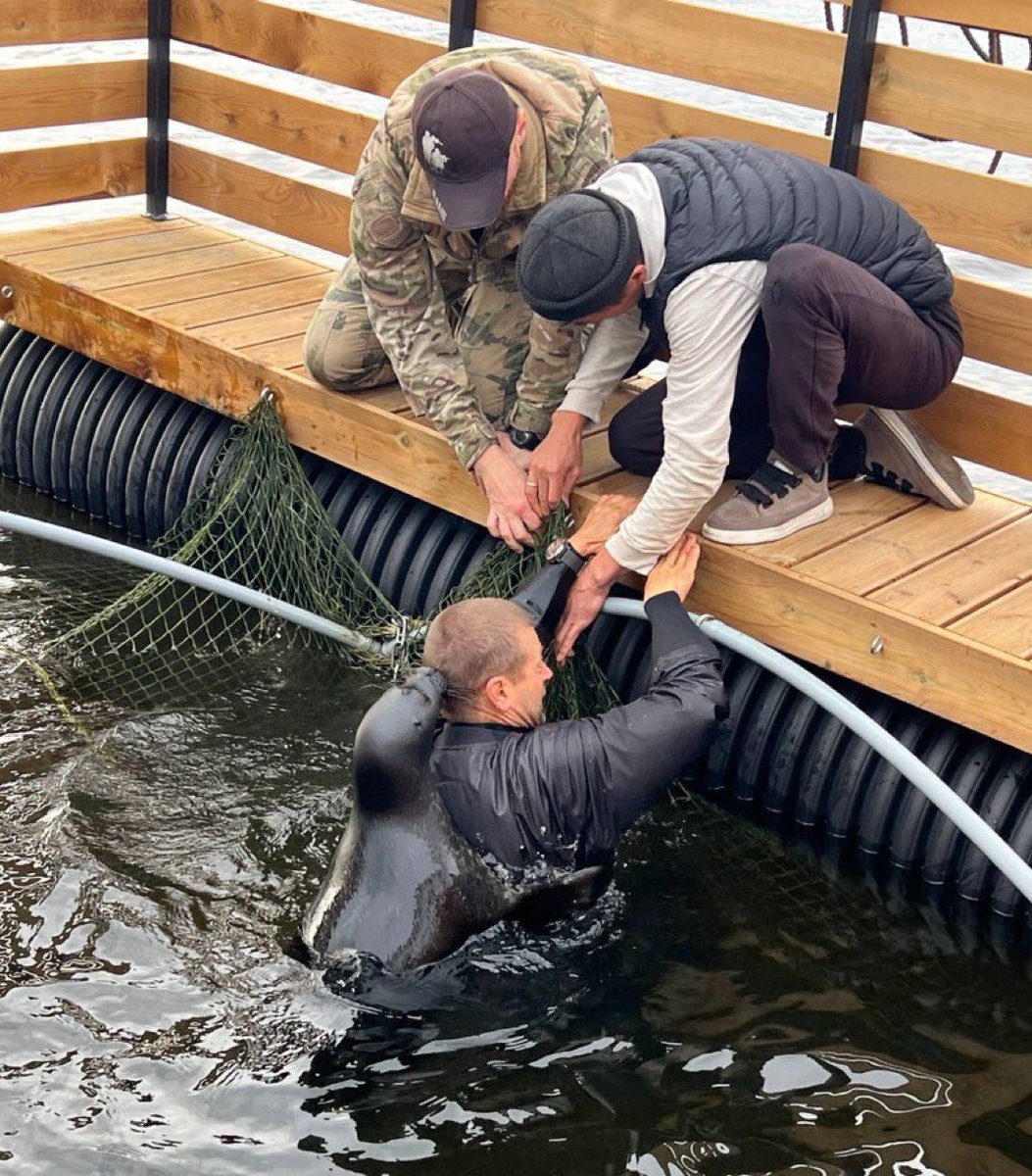 Herbuurna 🦭🇵🇷 tweet media