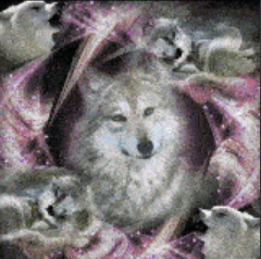 fawn 𖹭 tweet media