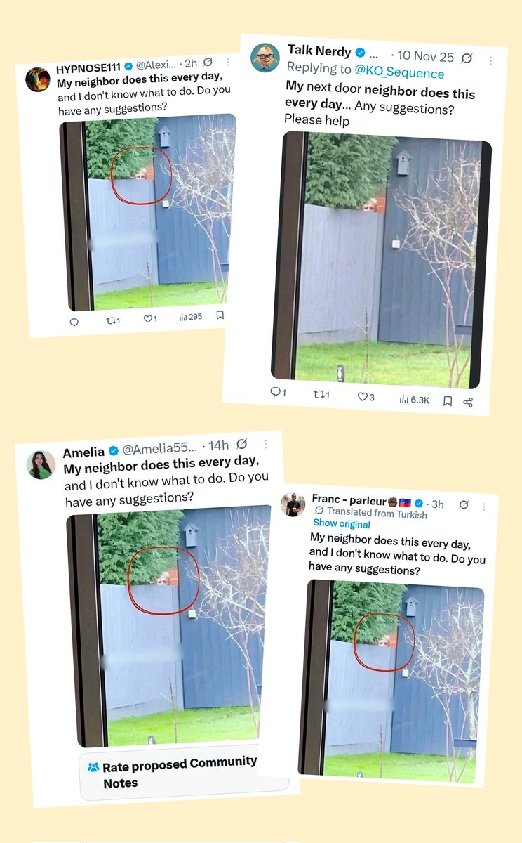 Kater ᛟᚷᚨ tweet media