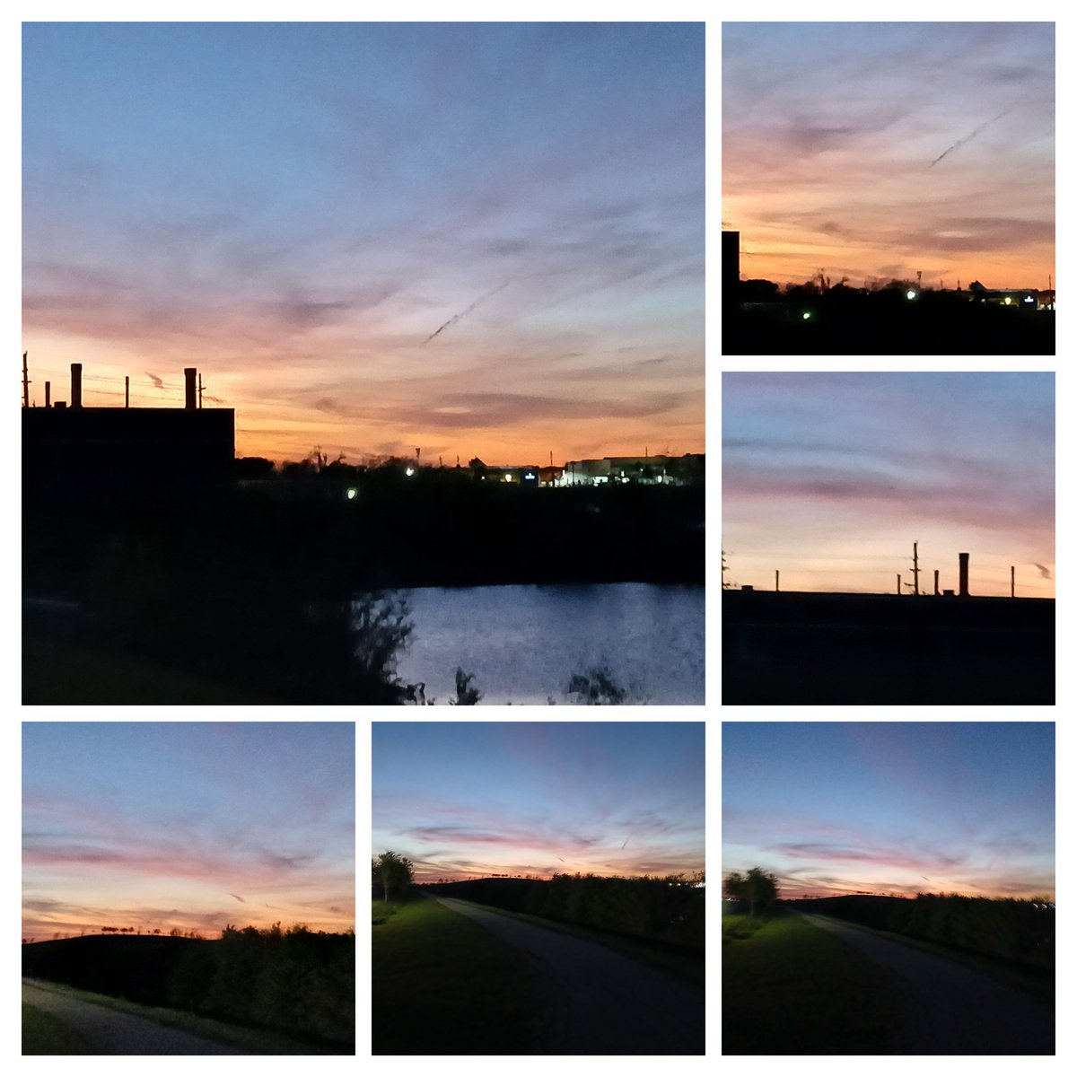 Chloe in Texas tweet media