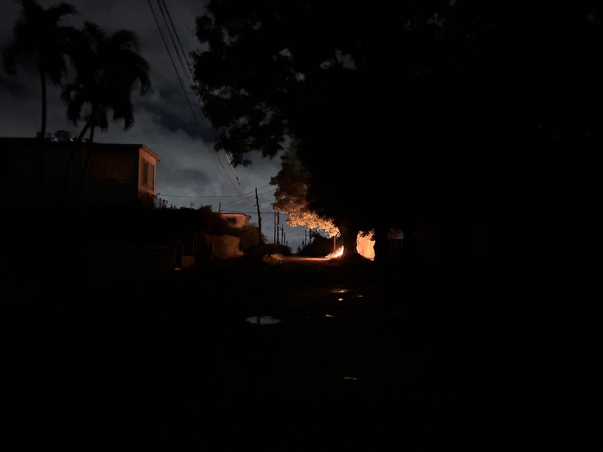 Zoe Alexandra tweet media