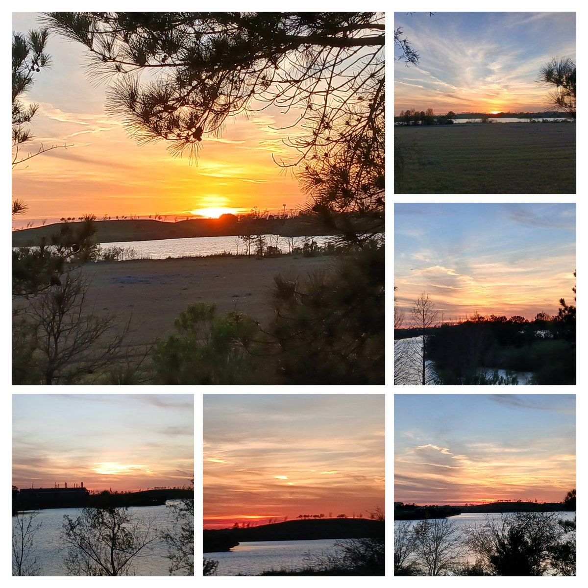 Chloe in Texas tweet media