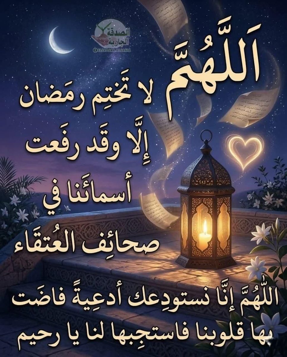 ناصر زايد حمد الرشيدي tweet media