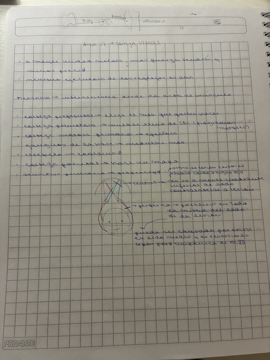 ama ✮˚.⋆ tweet media