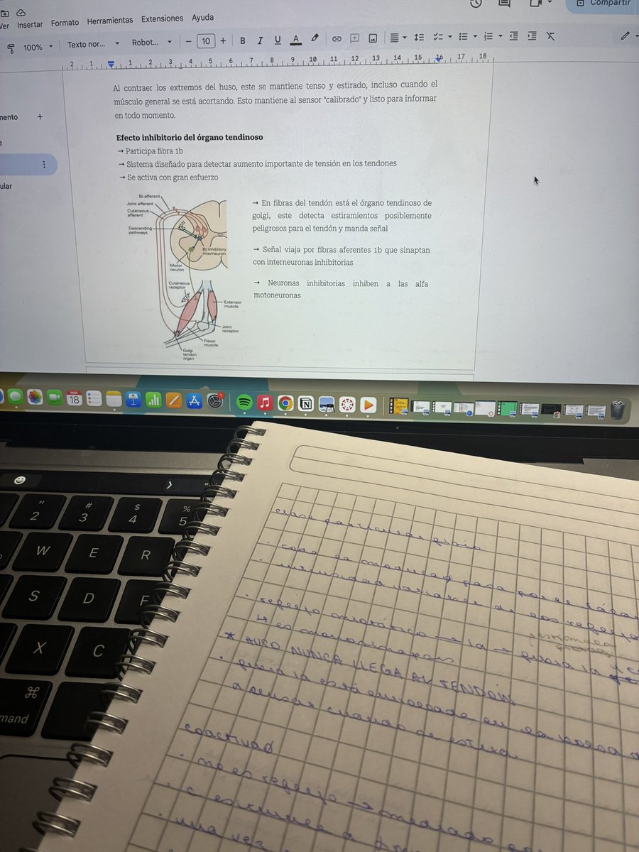 ama ✮˚.⋆ tweet media