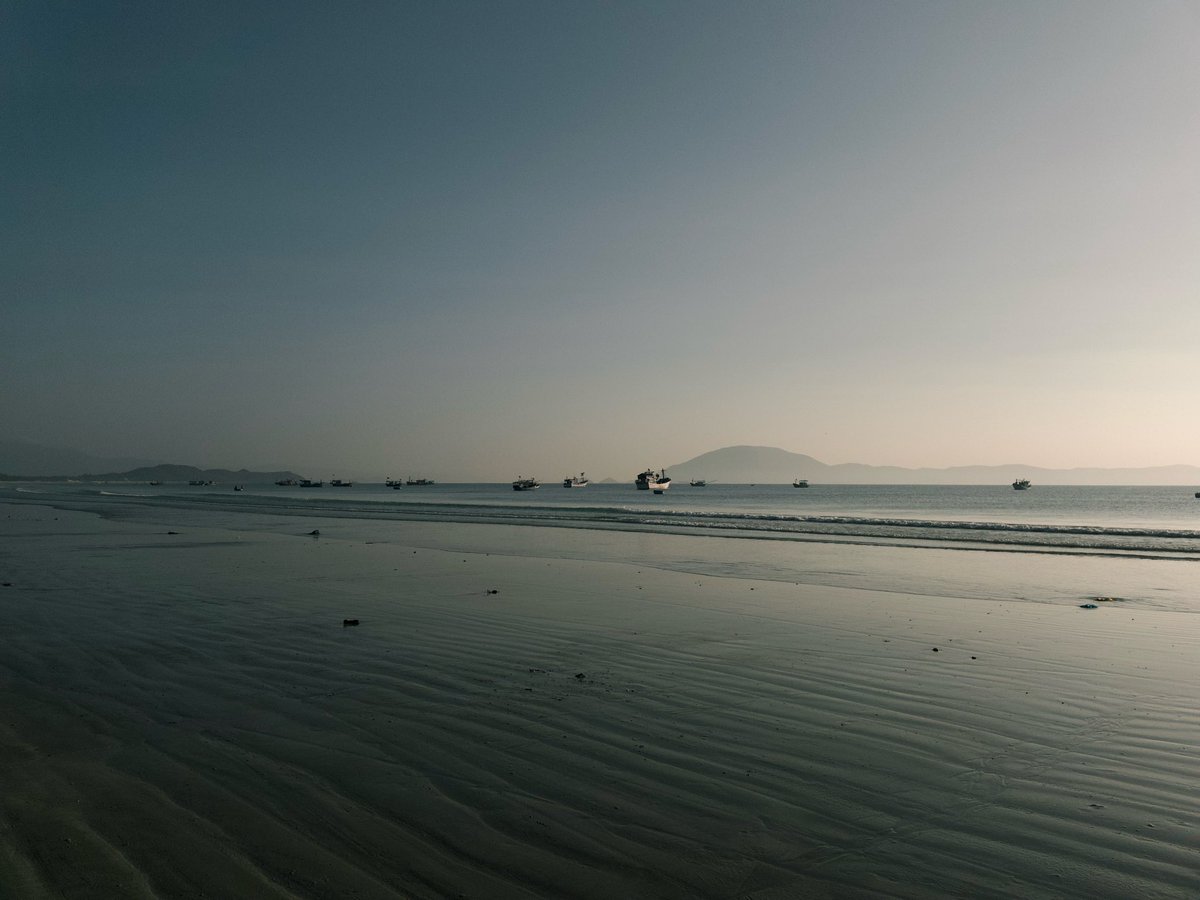 thanh an tweet media