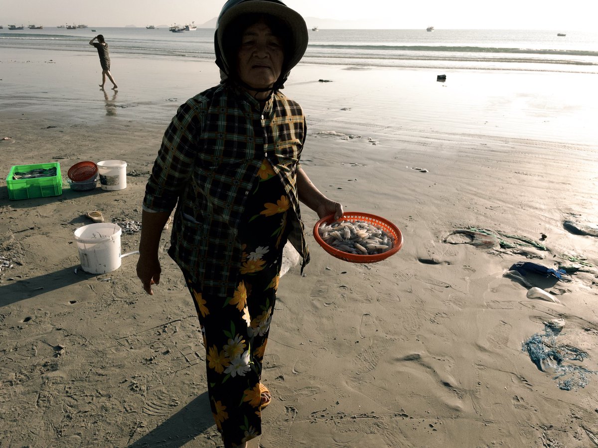 thanh an tweet media