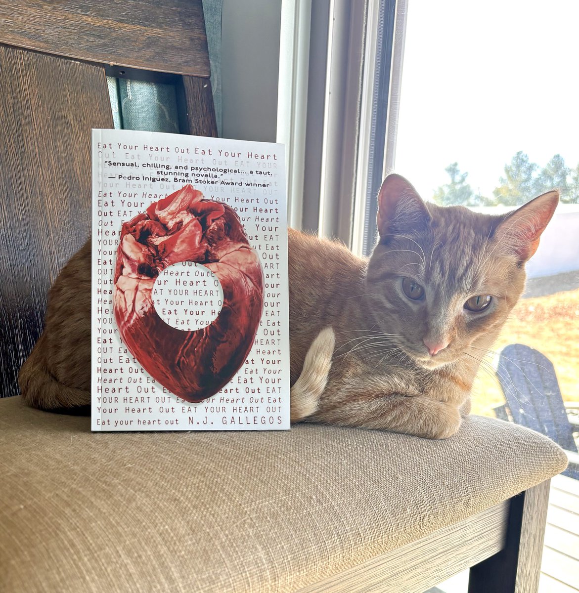 N.J. Gallegos is Dr. Spooky 👻💉💊 tweet media