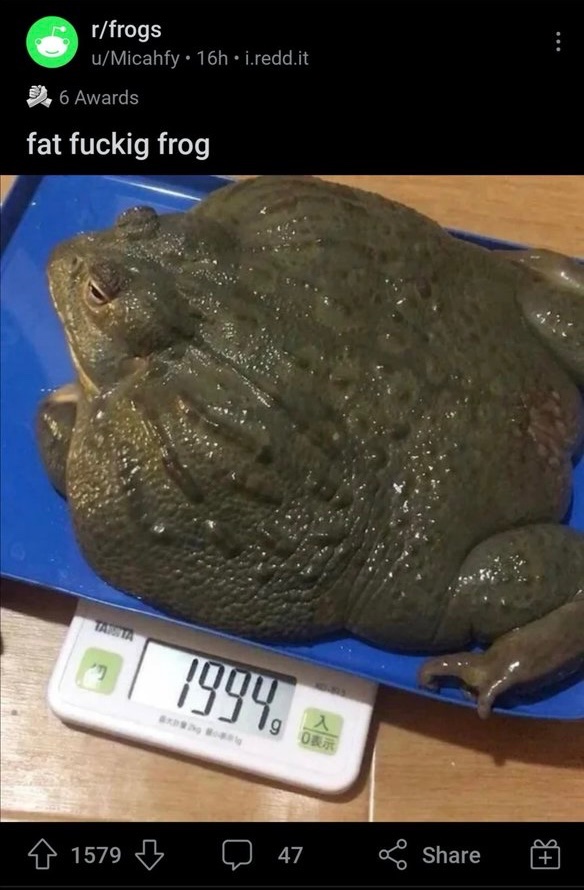 Images AI Could Never Recreate tweet media