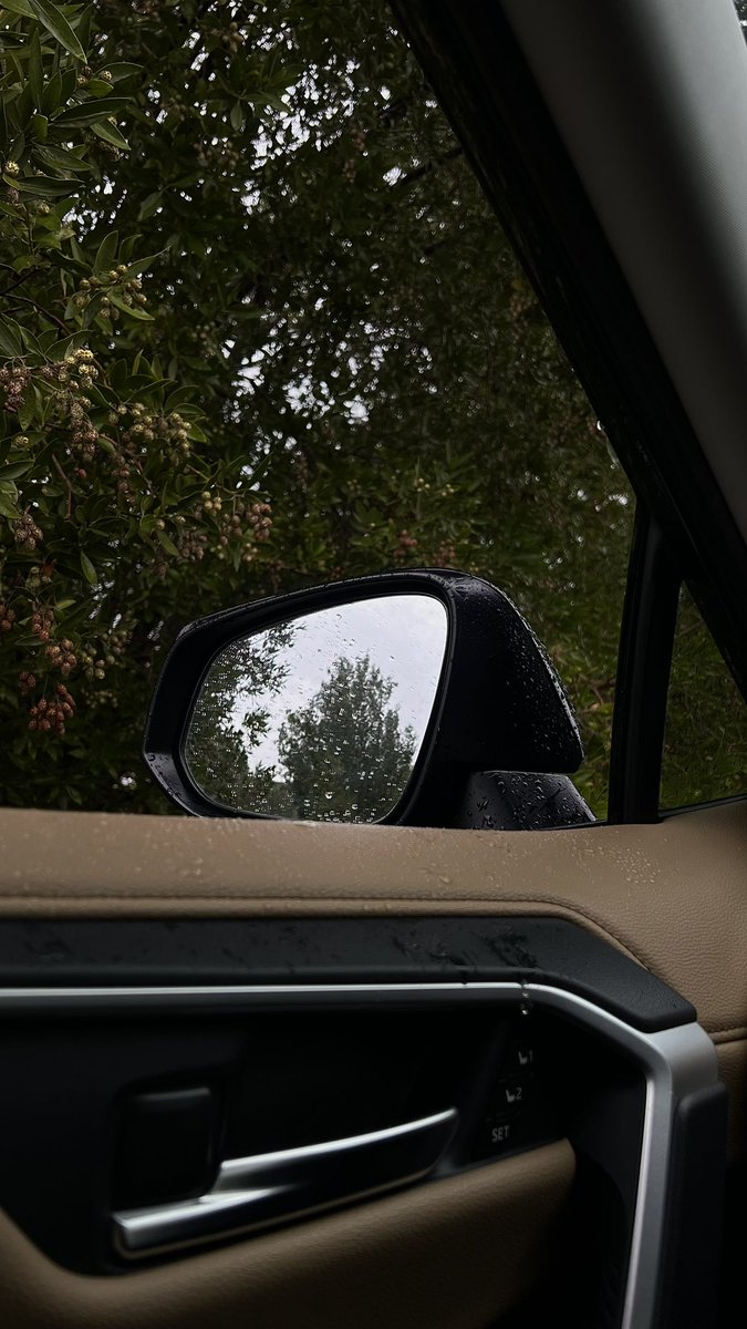 عذوب tweet media