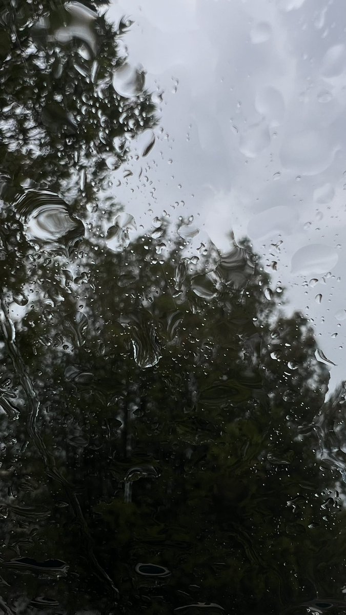 عذوب tweet media