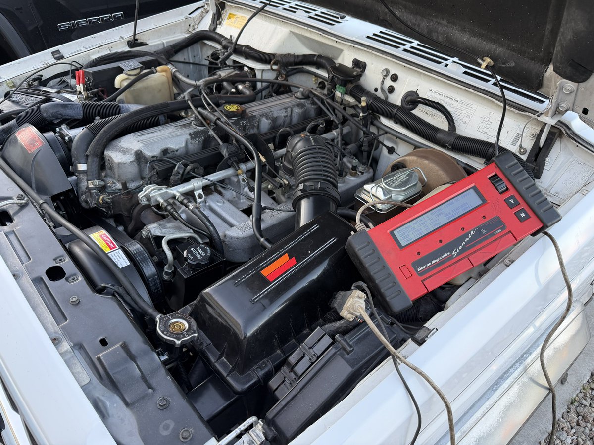 Torx 🐆⛽ tweet media