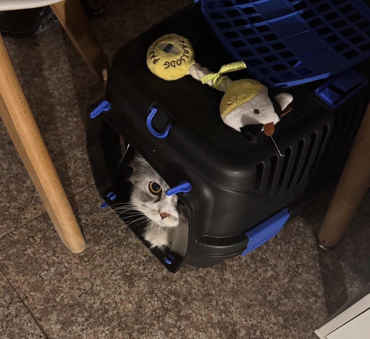 qabas_ll's tweet photo. Me avoiding my problems like: https://t.co/waWScjzgOl