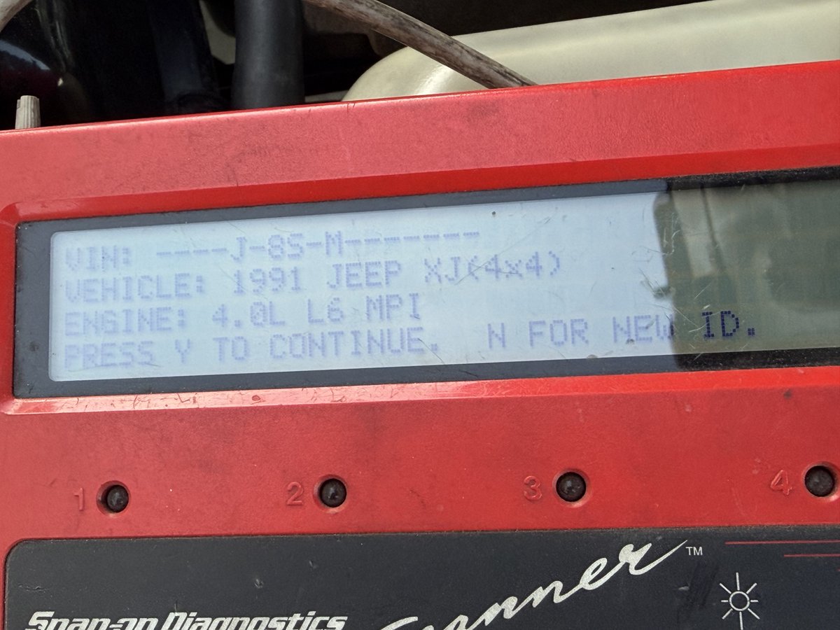 Torx 🐆⛽ tweet media