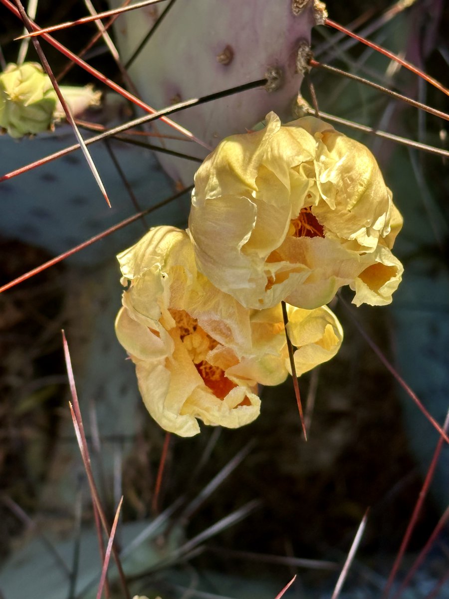 Sammy Payne 🧚‍♀️ tweet media