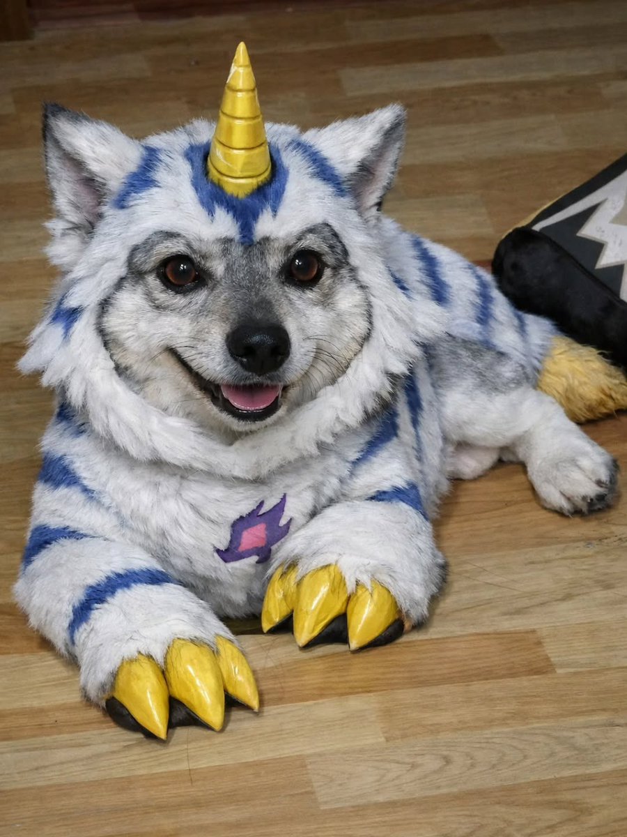 Maestre Mapaxito tweet media