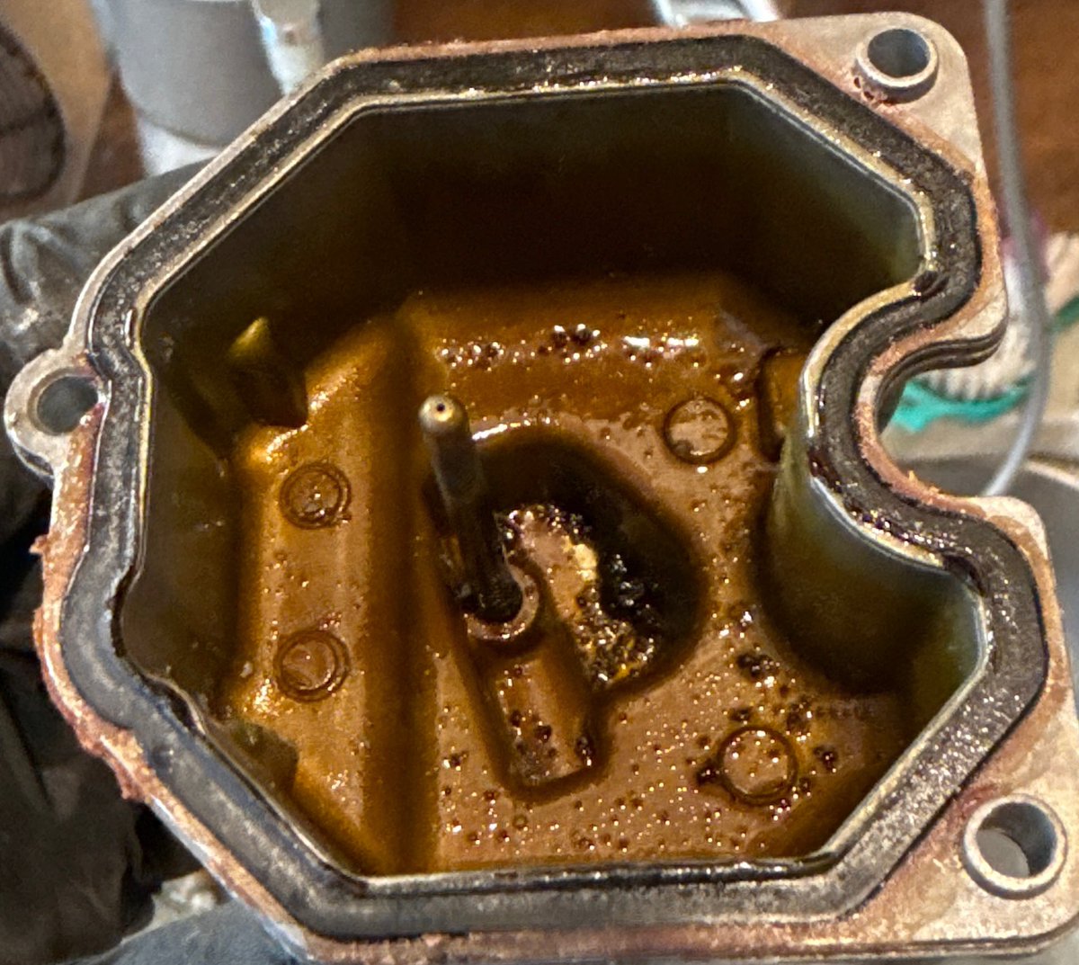 Alejandro Pernin tweet media